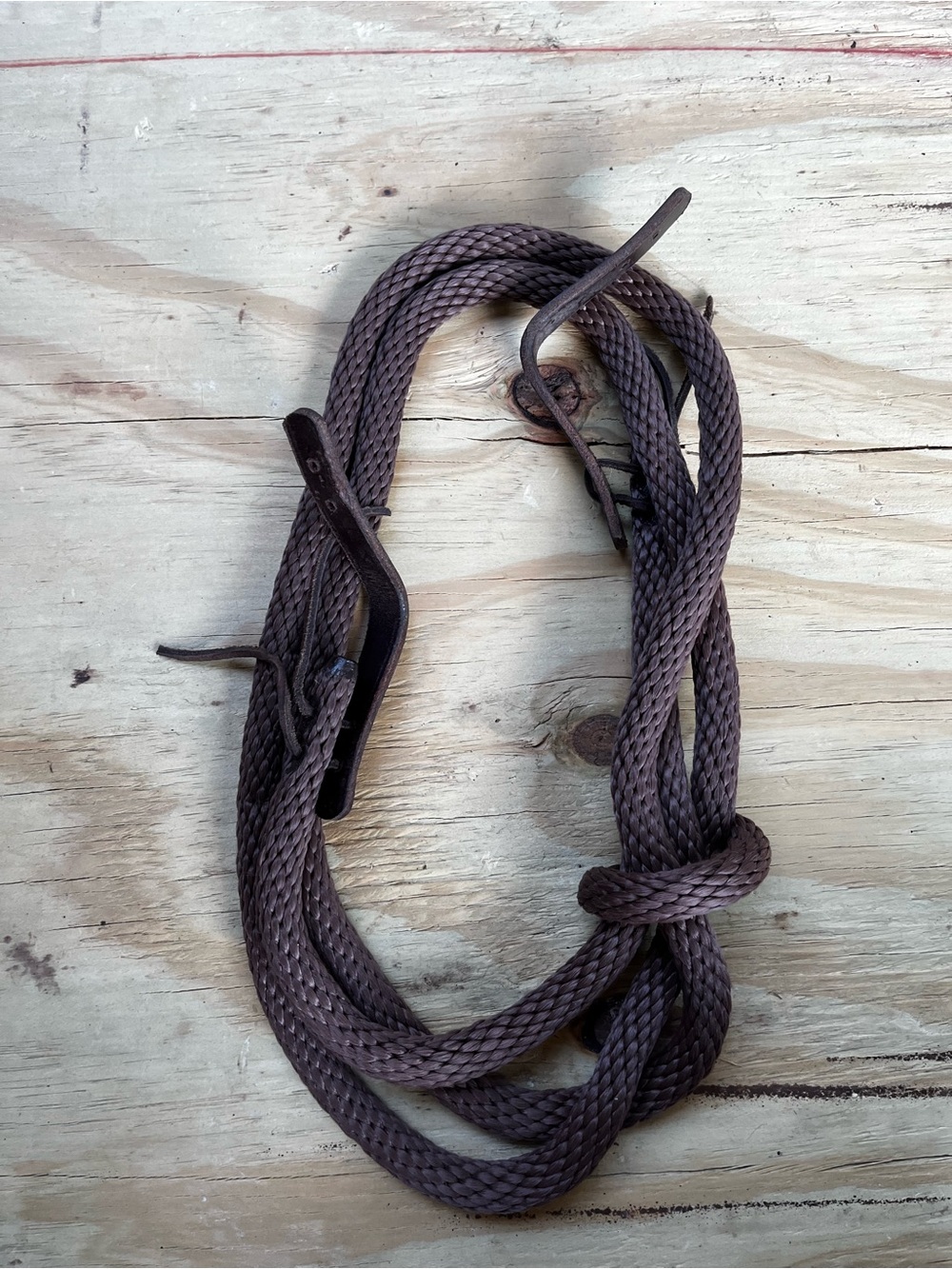 Loop reins